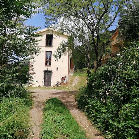 Ferula Romantica Mansarda Tra Fiumi E Montagne Sardegna Seùlo Exteriér fotografie