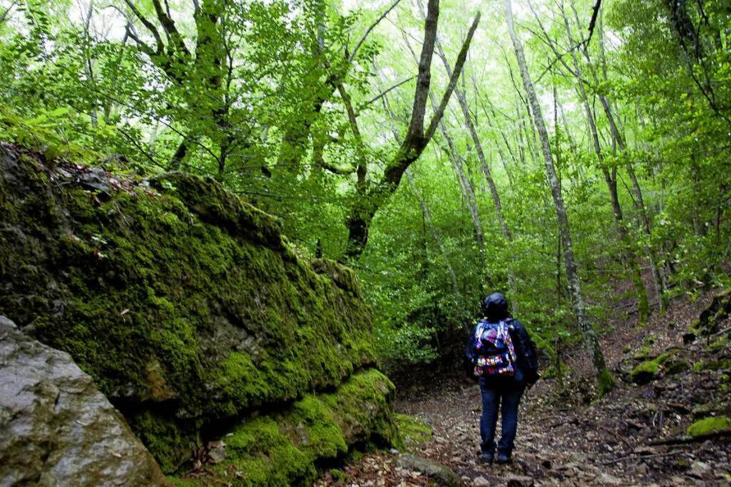 Ferula Romantica Mansarda Tra Fiumi E Montagne Sardegna Seùlo Exteriér fotografie