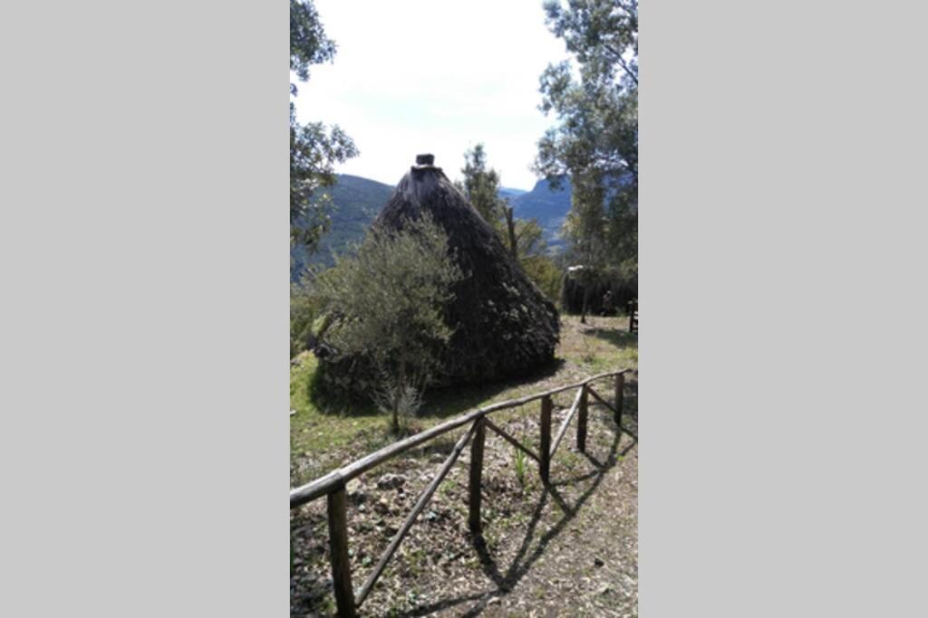 Ferula Romantica Mansarda Tra Fiumi E Montagne Sardegna Seùlo Exteriér fotografie