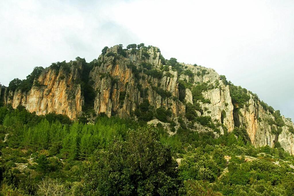 Ferula Romantica Mansarda Tra Fiumi E Montagne Sardegna Seùlo Exteriér fotografie