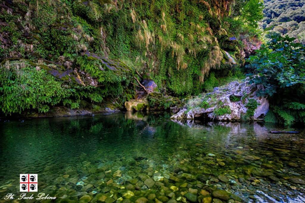 Ferula Romantica Mansarda Tra Fiumi E Montagne Sardegna Seùlo Exteriér fotografie
